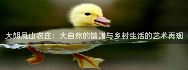 天顺娱乐张74OOO5