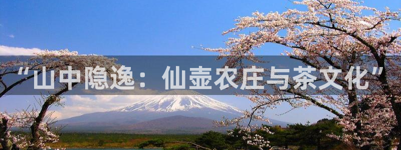 天顺娱乐官网
