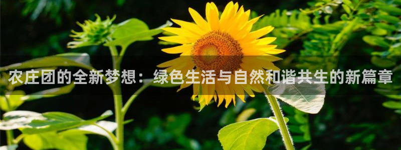 天顺商务宾馆娱乐