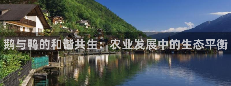 天顺娱乐怎么样
