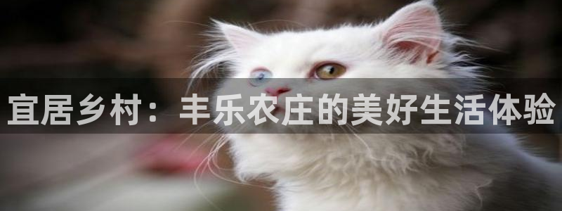 天顺娱乐上级单位是谁啊