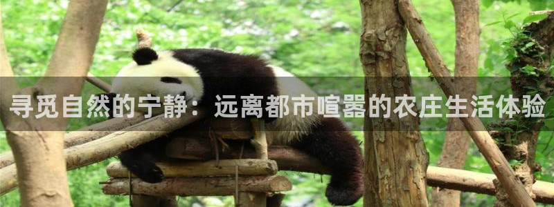 天顺娱乐账号