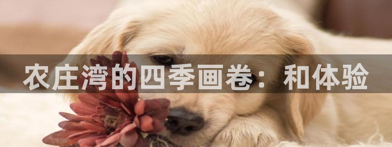 天顺娱乐降72182