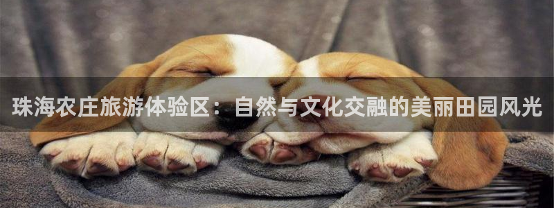 天顺娱乐负责人又潜pg29999
