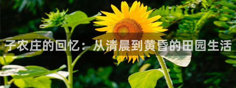 天顺娱乐负责人干门pg29999
