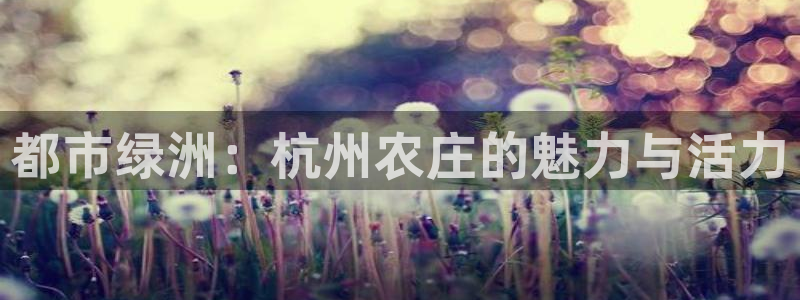 天顺娱乐丁六七五一三八