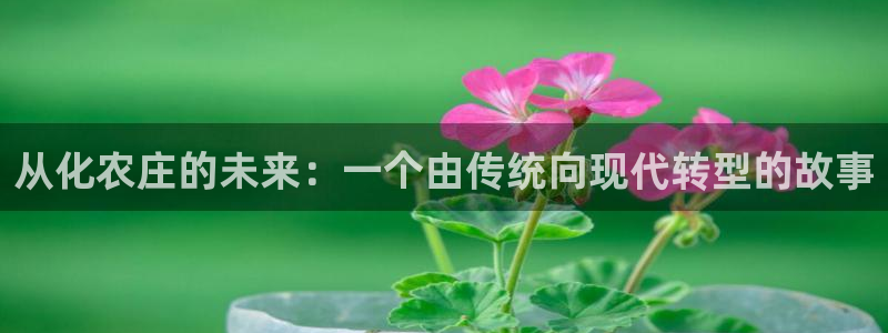 天顺娱乐主管方是谁呀