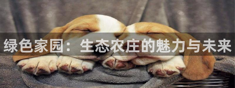 天顺娱乐文赋99840