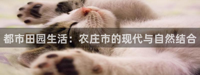 天顺娱乐会所临沧