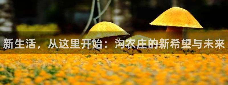 天顺娱乐毯 66 6