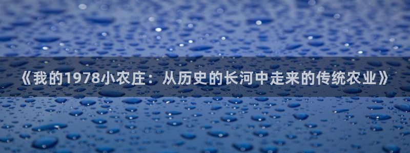 天顺娱乐虾 66 6