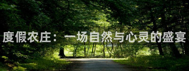 天顺娱乐赏943994