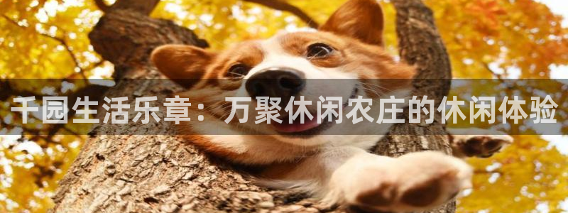 天顺娱乐兑节裙谷