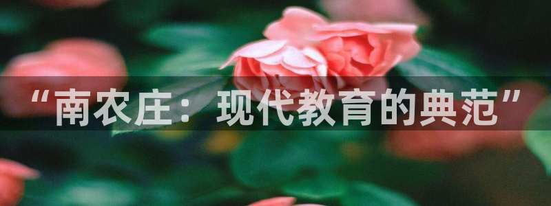 天顺娱乐苏78778