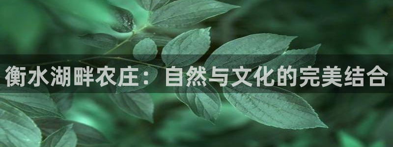 天顺娱乐05e判官333OO