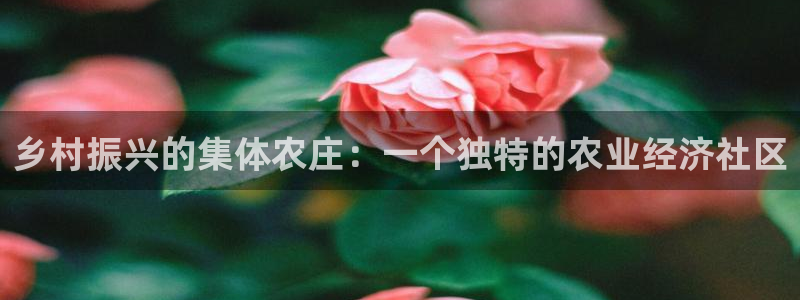 天顺娱乐主管看