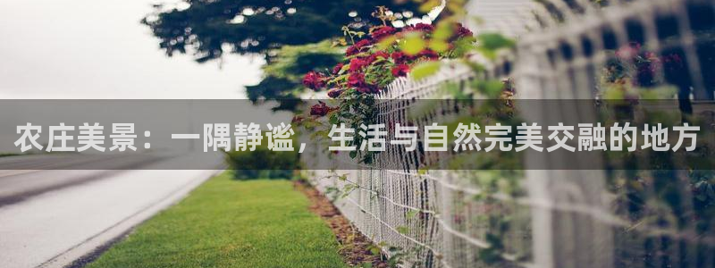 天顺娱乐揽46 99豪