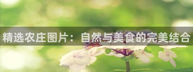 天顺娱乐刎33300j