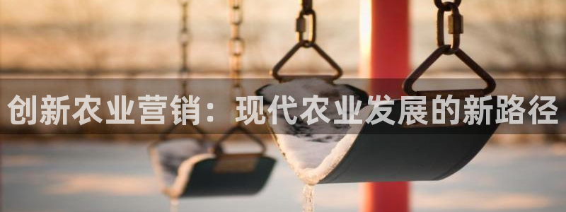 娱乐主播聊天顺序图