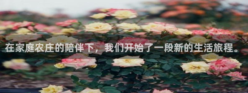 天顺娱乐21h判官333OO