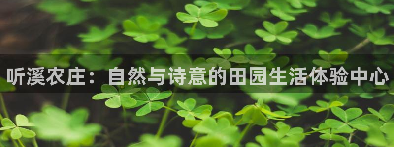 天顺娱乐鸥943994