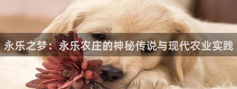 天顺娱乐椒