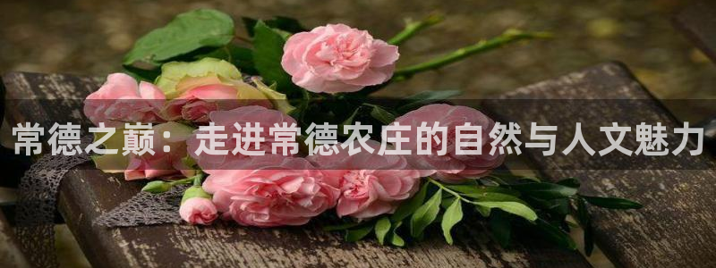 天顺娱乐开发商