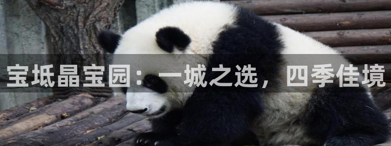 天顺娱乐土70648抠