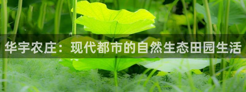 天顺娱乐图随秦奋83334j