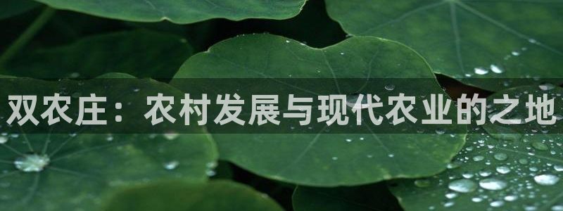 天顺娱乐吕74OOO5