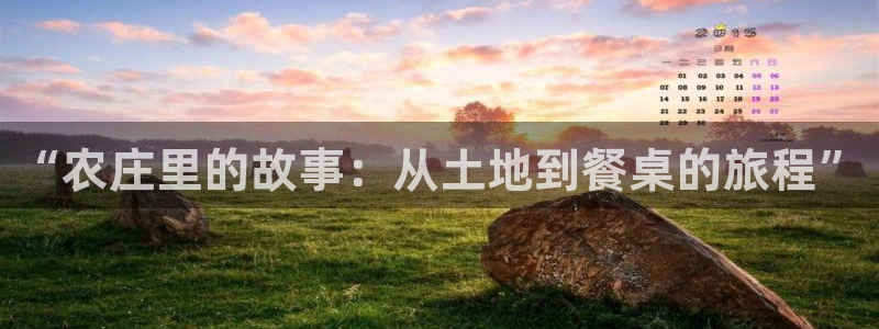 天顺娱乐网址