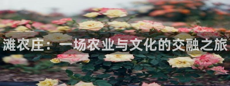 天顺娱乐主管家