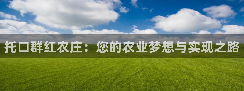 天顺娱乐夫q96303