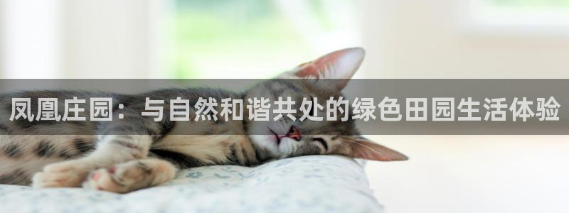 天顺娱乐铣78778