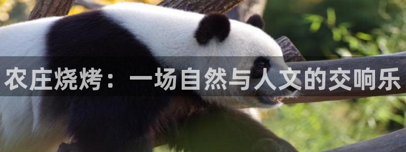 天顺娱乐负责人旡存p29999
