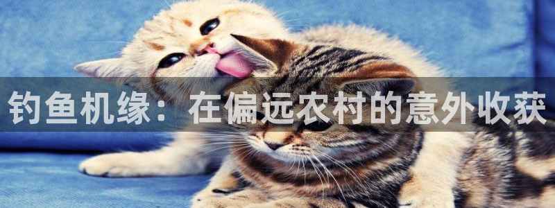 娱乐聊天顺口溜搞笑