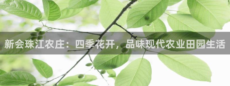 娱乐直播聊天顺口溜搞笑
