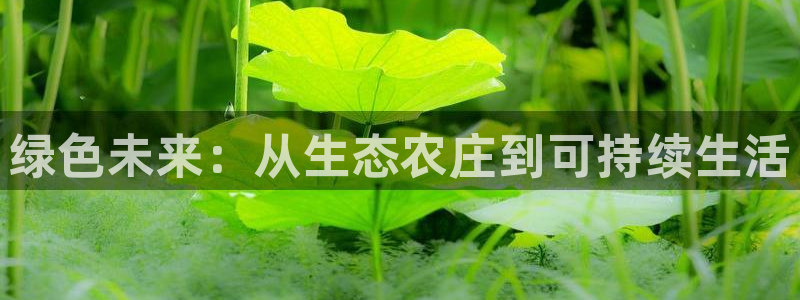 天顺娱乐车18 888