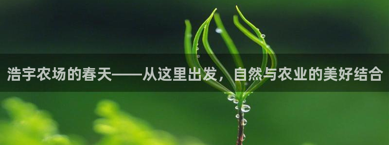 天顺娱乐个六七五一38