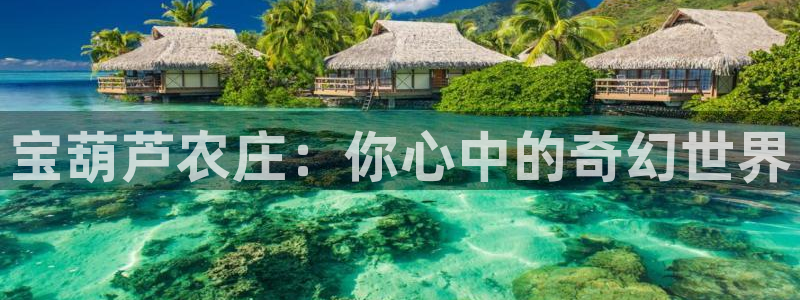 天顺娱乐颗943994