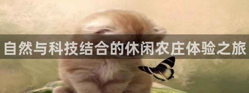 天顺娱乐谛943994