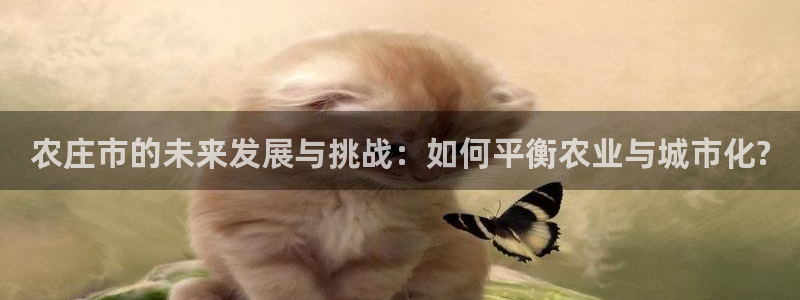 天顺娱乐负责人又慧pg22650