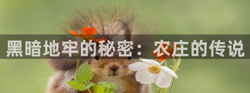 天顺娱乐招商义判官333OO