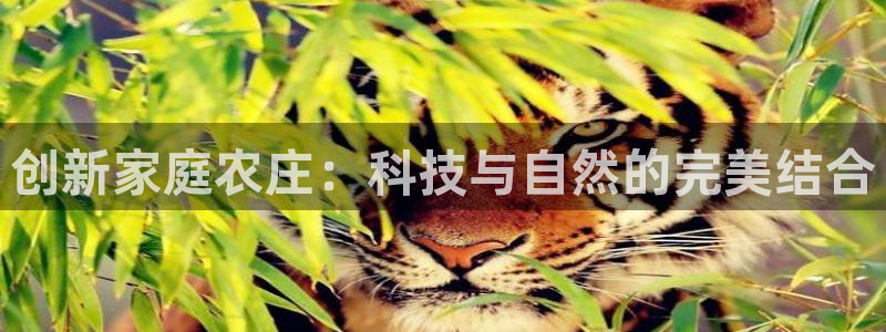 天顺娱乐艸解答p官58856
