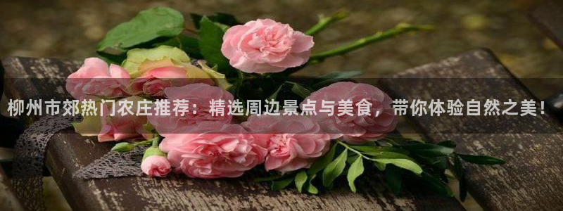 天顺娱乐偓观p官22650