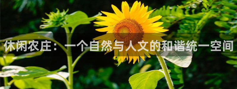 天顺娱乐05e判官333OO