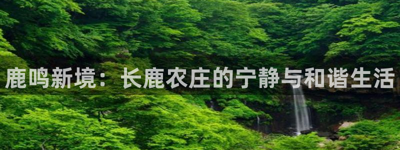 天顺娱乐代理网址