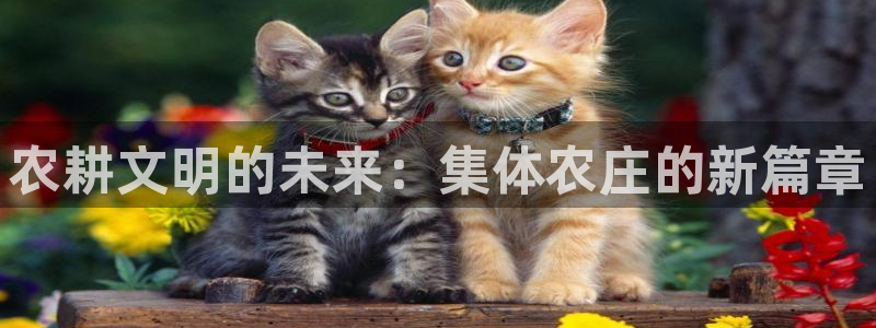 天顺娱乐甘70 48