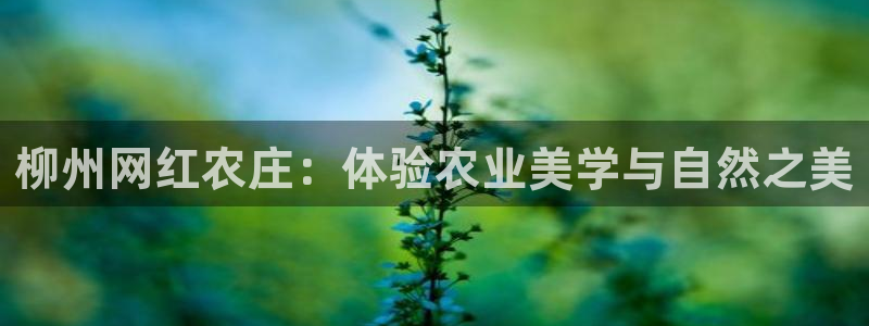 天顺娱乐优七九九47