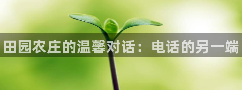 天顺娱乐平台下载